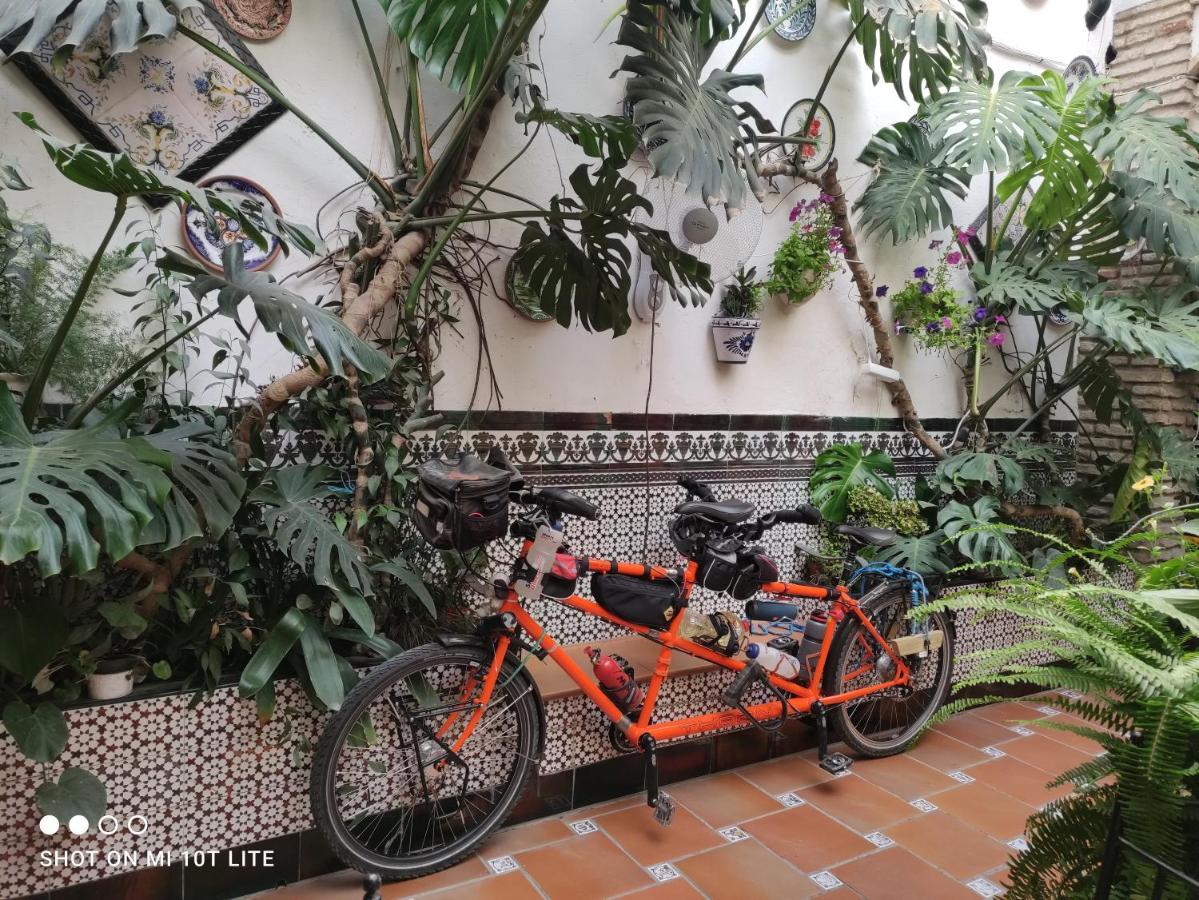 Pension Los Arcos Cordoba Ngoại thất bức ảnh