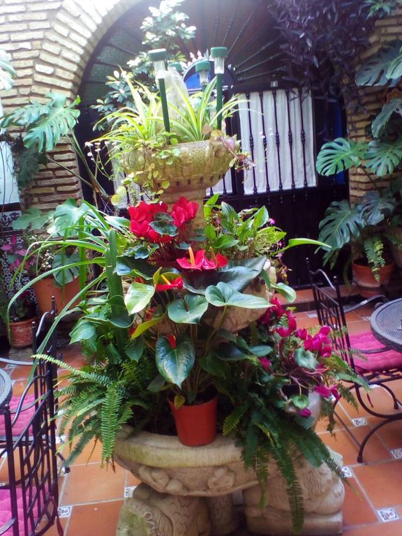 Pension Los Arcos Cordoba Ngoại thất bức ảnh