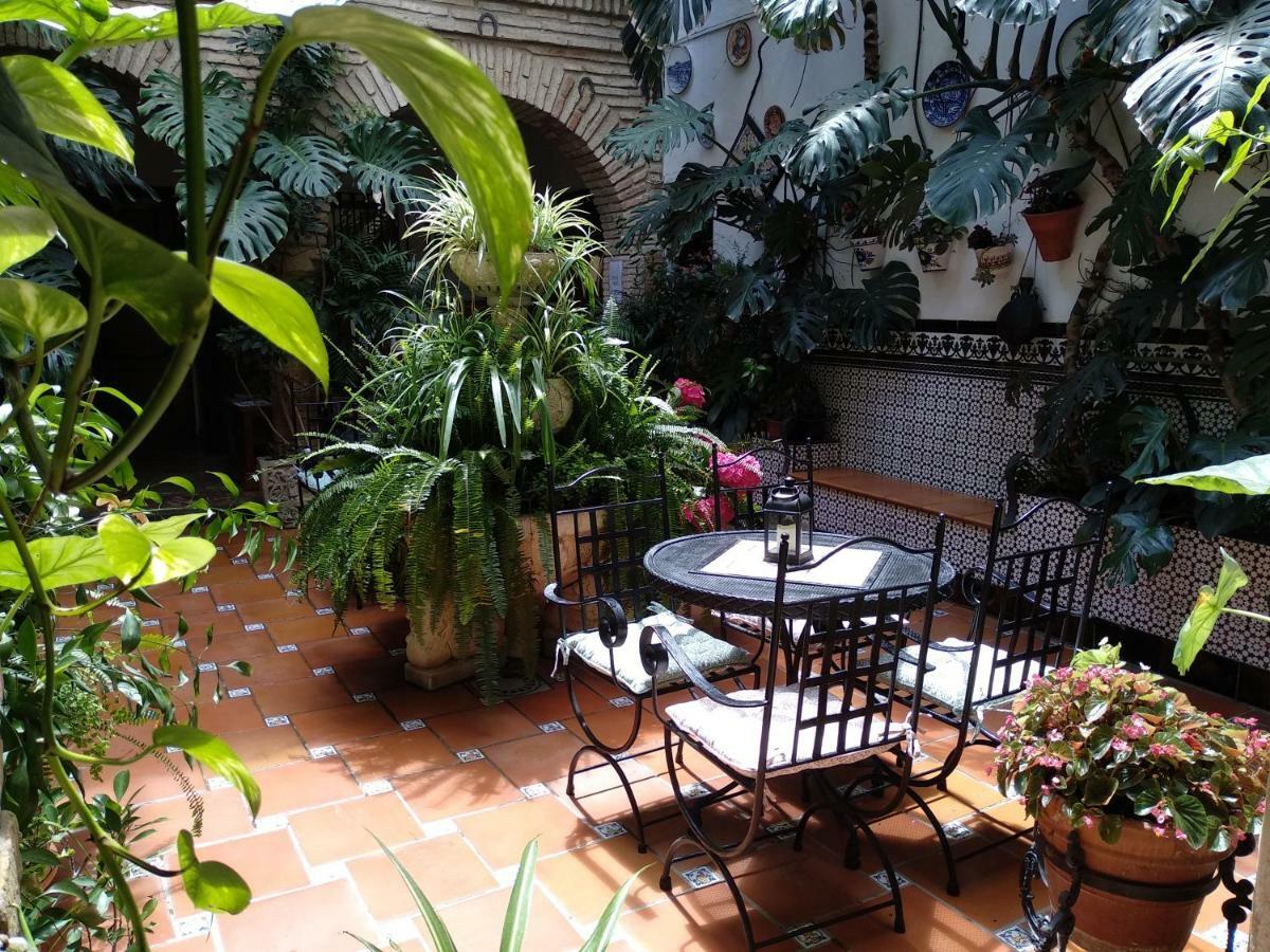 Pension Los Arcos Cordoba Ngoại thất bức ảnh