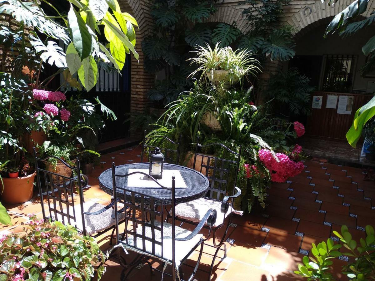 Pension Los Arcos Cordoba Ngoại thất bức ảnh