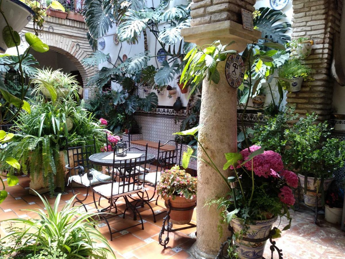 Pension Los Arcos Cordoba Ngoại thất bức ảnh