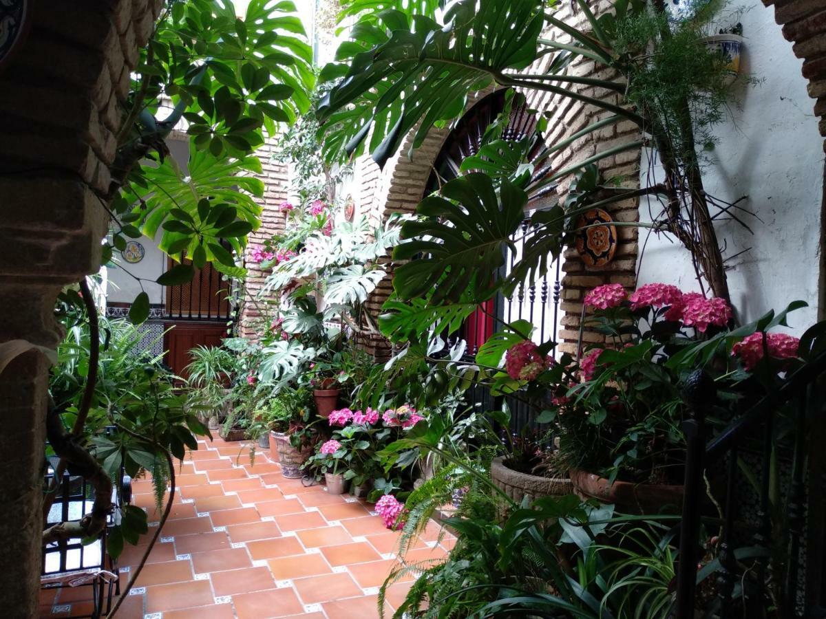Pension Los Arcos Cordoba Ngoại thất bức ảnh